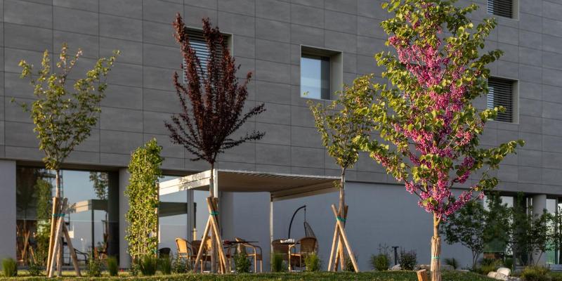 The Cube Hotel - Teras