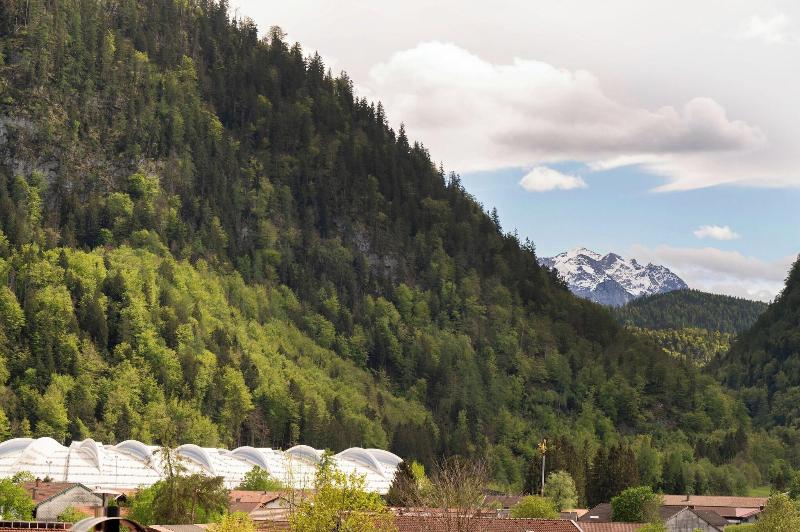 Alpenliebe Design Hotel - Genel