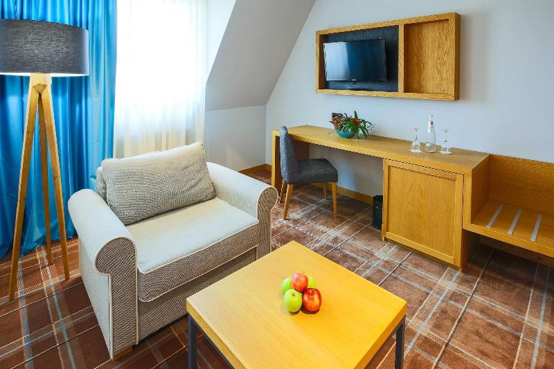 Grand Hotel Suhl - Oda