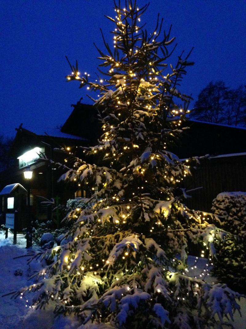 Hotel & Restaurant Zur Spreewälderin - Genel