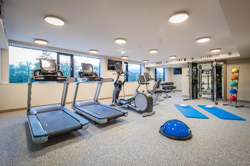 Hilton Garden Inn Wiener Neustadt - Aktivite