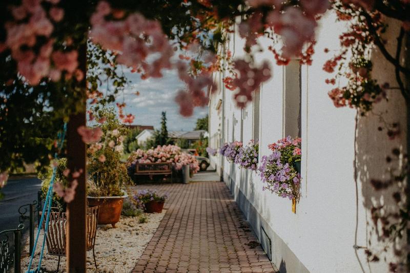 Landhotel Rosenschaenke - Genel