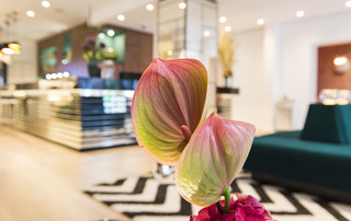 ibis Styles Frankfurt City fotoÄŸrafÄ±
