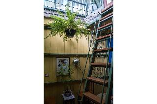 Live Local Cafe and Hotel 420 Cannabis Friendly fotoÄŸrafÄ±
