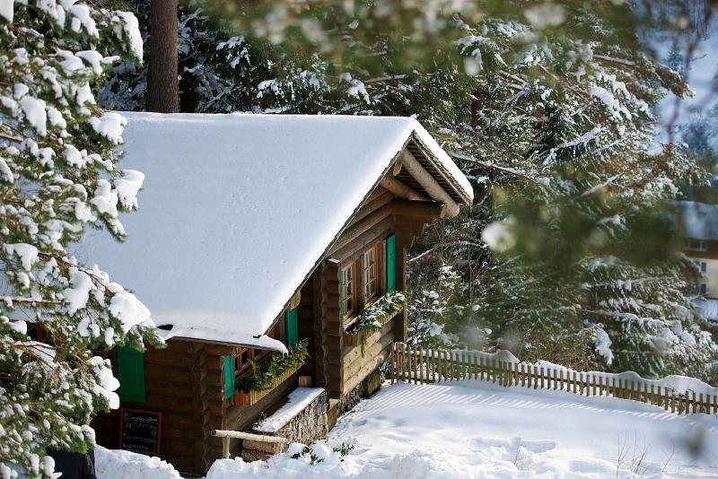 Traube Tonbach - Aktivite