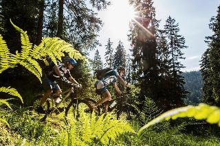 Traube Tonbach fotoÄŸrafÄ±
