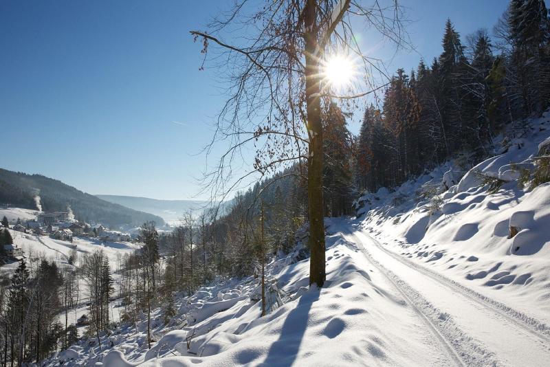 Traube Tonbach - Aktivite