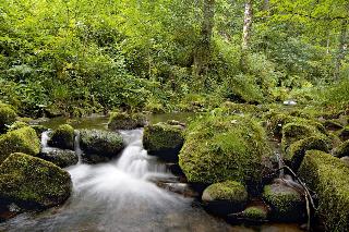 Traube Tonbach fotoÄŸrafÄ±
