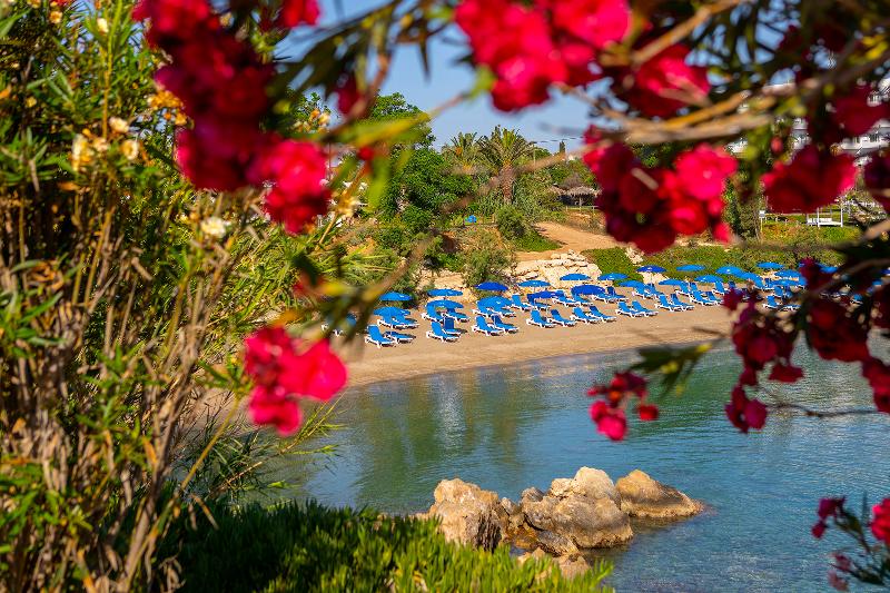 Crystal Springs Beach Hotel - Plaj