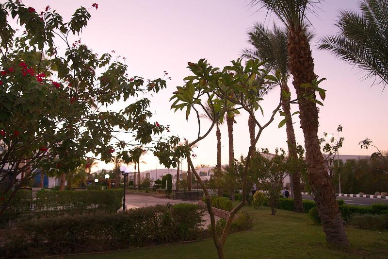 Naama Blue Hotel - Genel