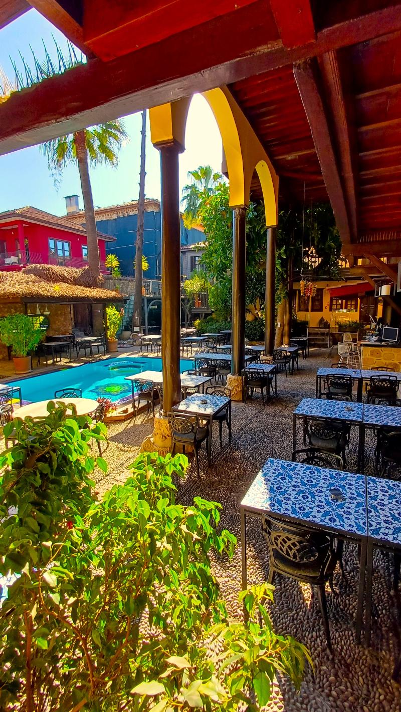 Alp Pasa Hotel - Genel