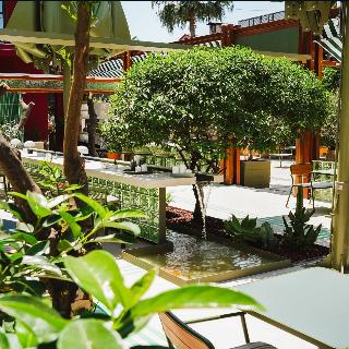 Alp Pasa Hotel fotoÄŸrafÄ±