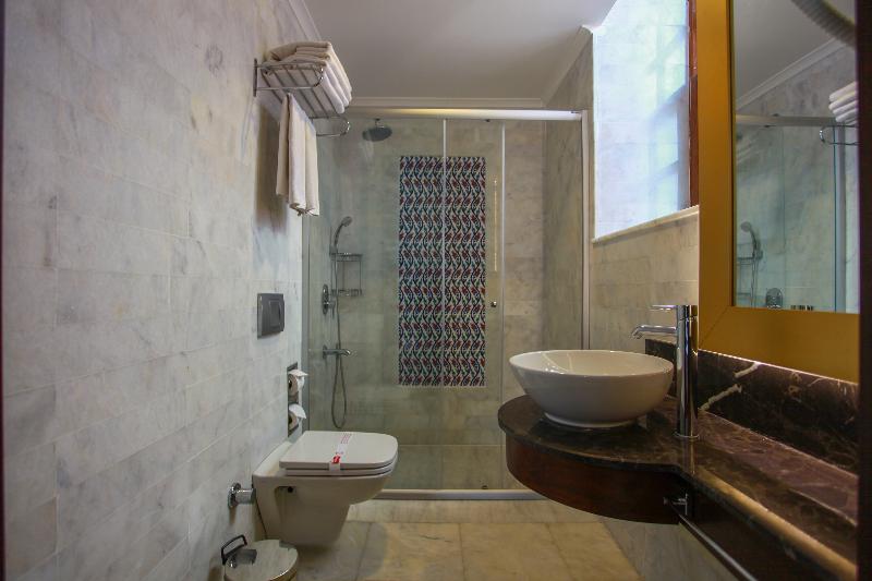 Alp Pasa Hotel - Oda