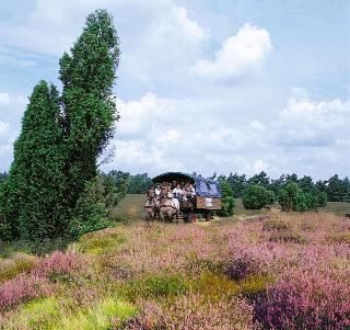 Morada Hotel Heidesee Gifhorn fotoÄŸrafÄ±