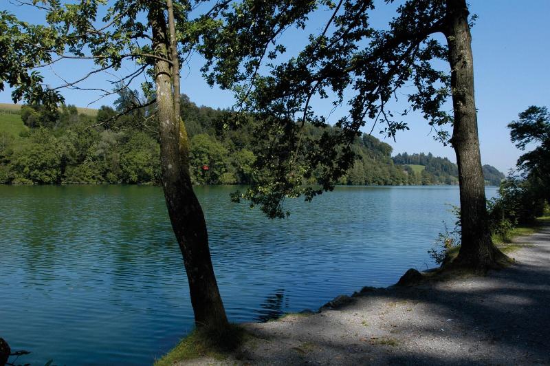 Youth Hostel Luzern - Genel