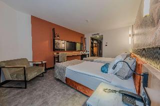 Best Western Plus Khan Hotel fotoÄŸrafÄ±