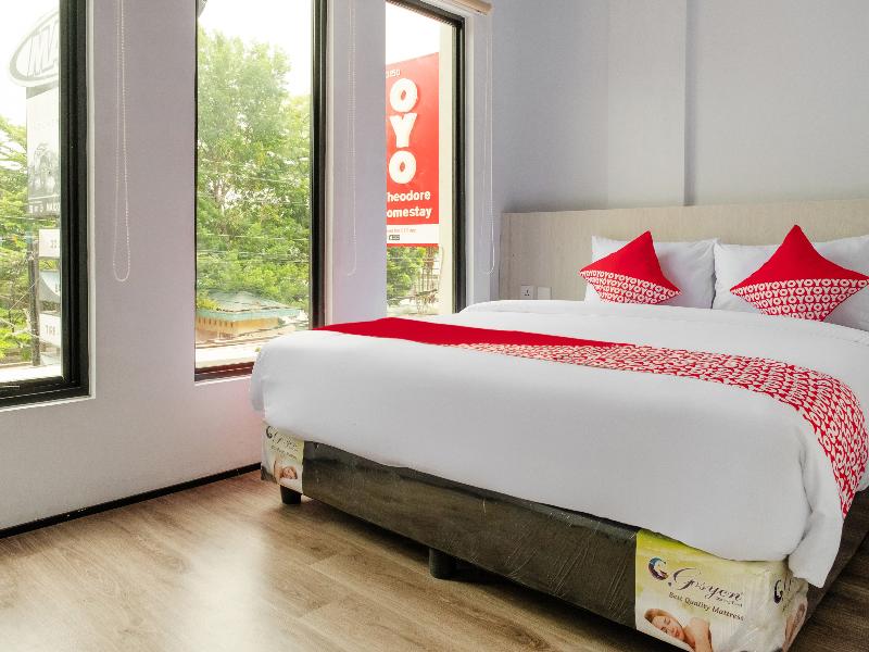 Super OYO 3150 Theodore Homestay - Oda