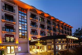 Anemon Bursa
