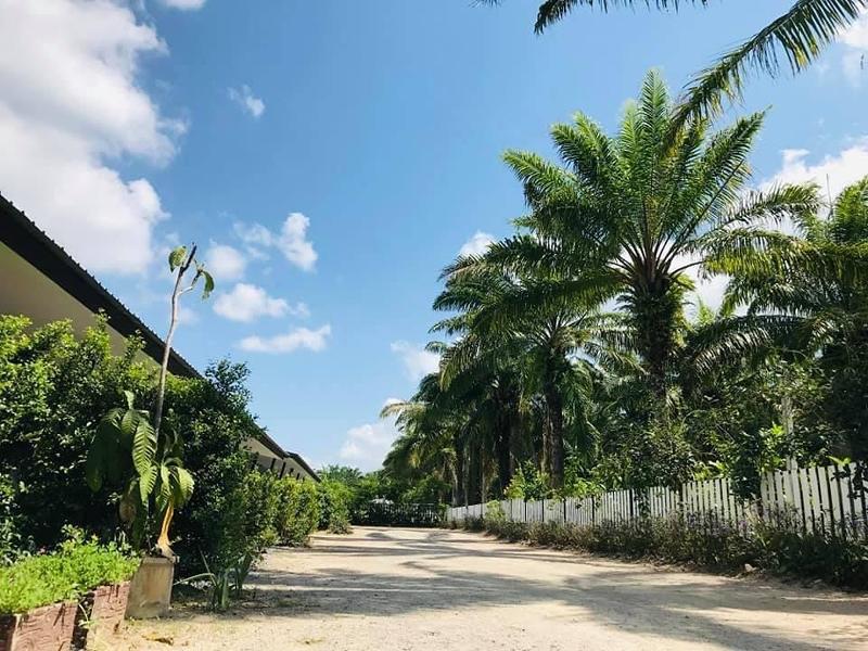 Golden Palm Resort by ZUZU - Genel