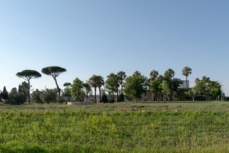 ASSERIA MAZZETTA LA CORTE DEL FALCONIERE - Genel