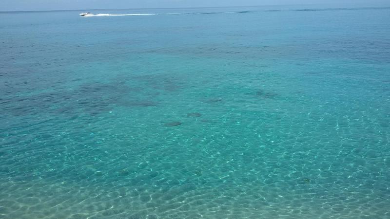 Tropea Boutique Hotel - Aktivite