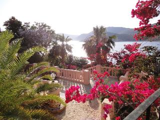 Patara Prince Resort fotoÄŸrafÄ±