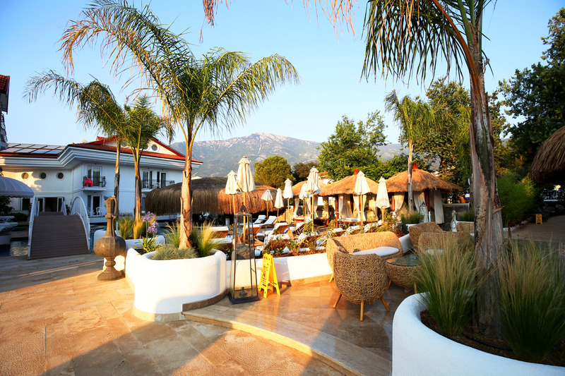 The Pine Hill Hotel & Suites - Genel