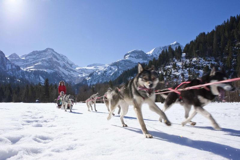 The Alpina Gstaad - Aktivite