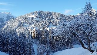The Alpina Gstaad otel fotoğrafı