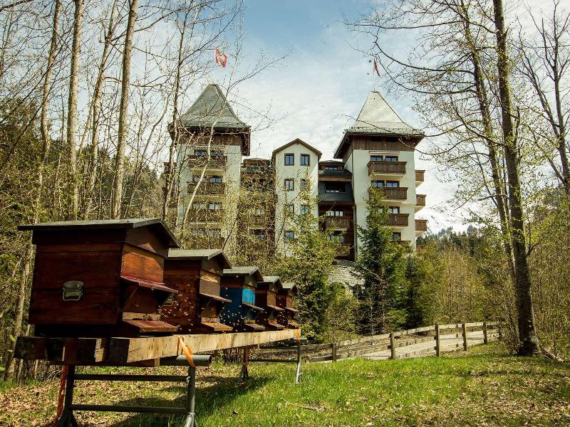The Alpina Gstaad - Genel