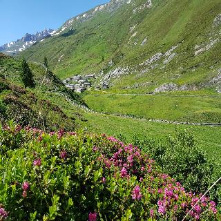 Gasthof Edelwei fotoÄŸrafÄ±