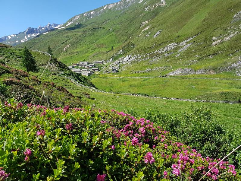 Gasthof Edelwei - Genel