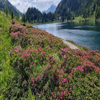 Gasthof Edelwei fotoÄŸrafÄ±