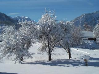 MOSERHOF fotoÄŸrafÄ±