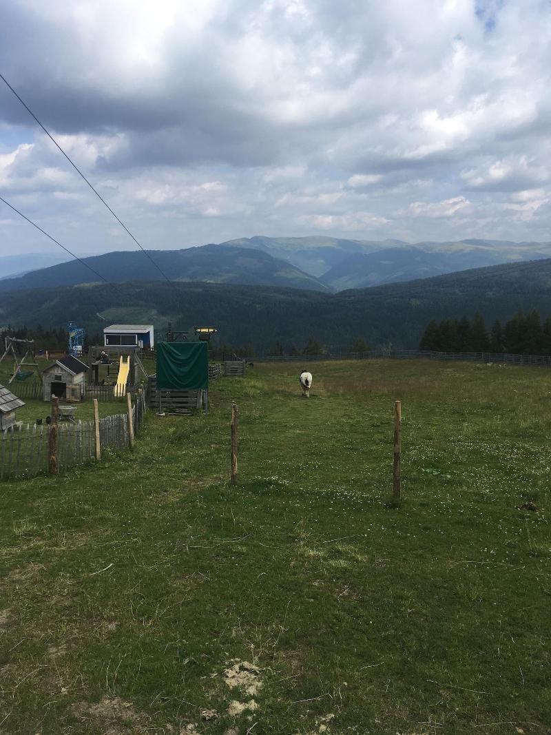 Landhaus Lungau - Aktivite