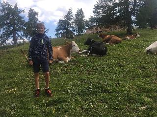 Landhaus Lungau fotoÄŸrafÄ±