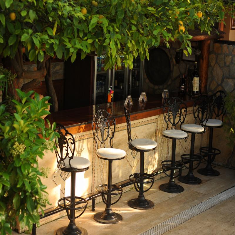Villa Daffodil - Bar