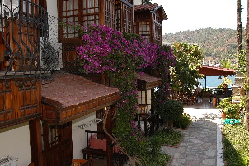 Villa Daffodil - Genel