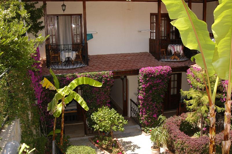 Villa Daffodil - Genel