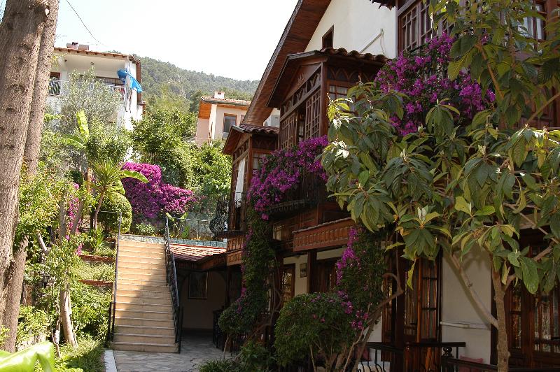 Villa Daffodil - Genel