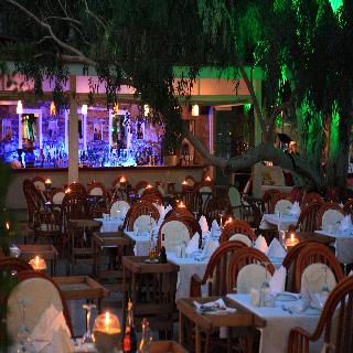 Okaliptus Hotel fotoÄŸrafÄ±