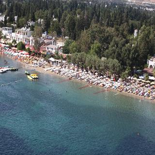 Okaliptus Hotel fotoÄŸrafÄ±