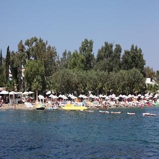 Okaliptus Hotel otel fotoğrafı