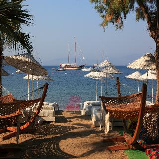 Okaliptus Hotel fotoÄŸrafÄ±