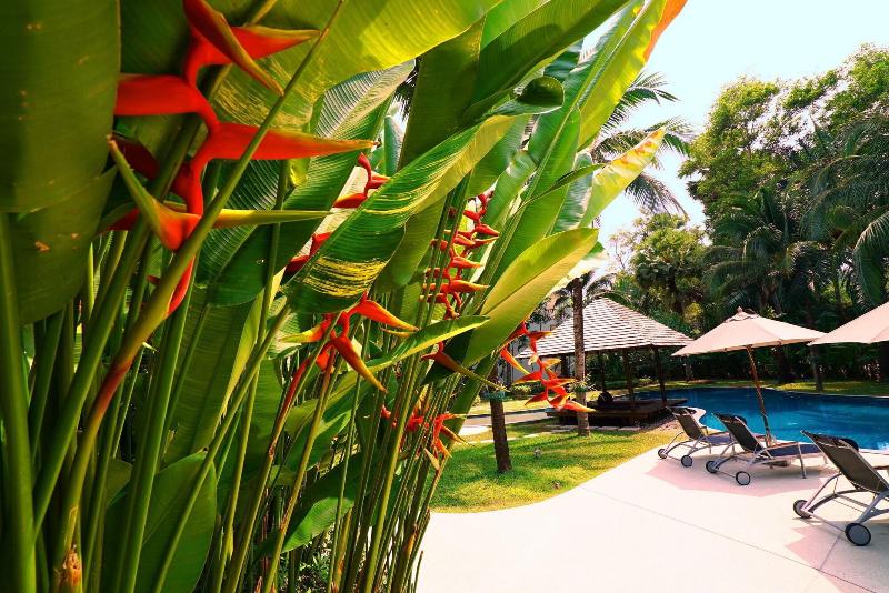 Casuarina Shores - Aktivite