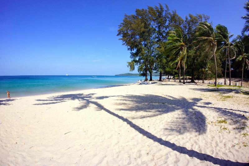 Casuarina Shores - Genel