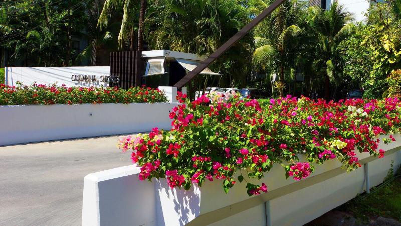 Casuarina Shores - Genel