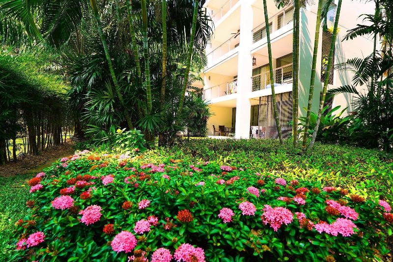 Casuarina Shores - Genel
