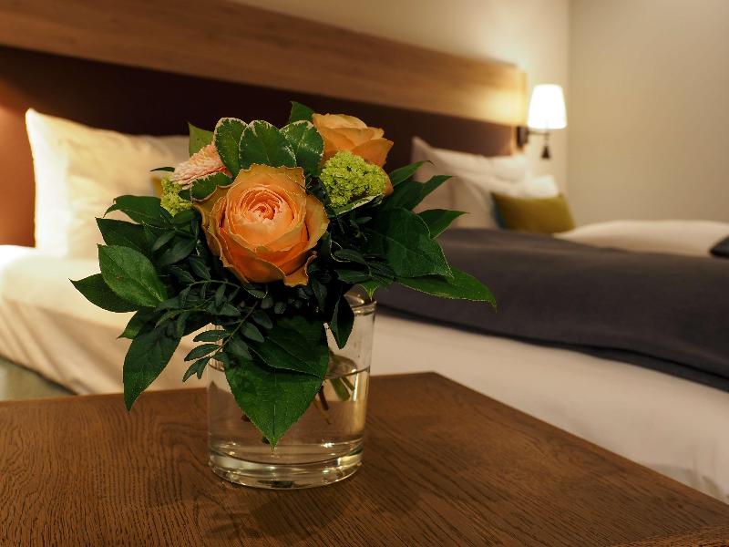 Hotel Anklamer Hof, BW Signature Collection - Oda