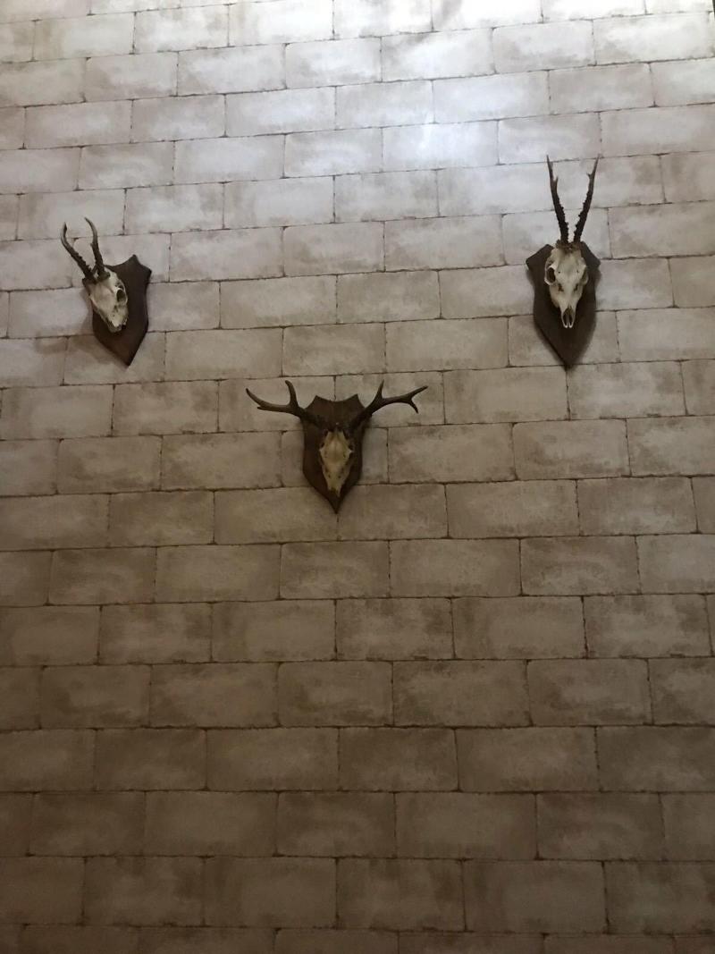 Camelot B&B Palermo - Lobi
